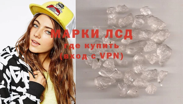 спайс Алзамай