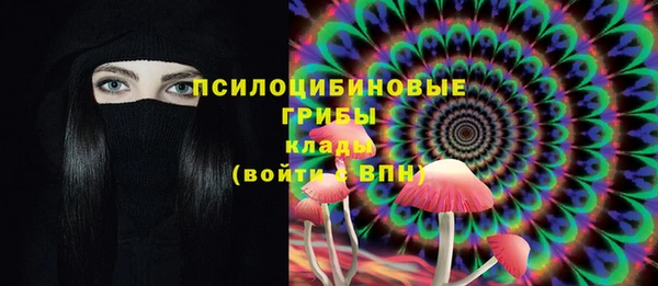 эйфоретик Абинск
