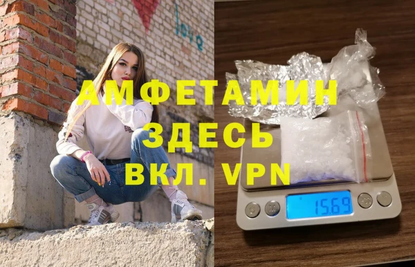 гидра Алексин