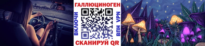 мега сайт Черноголовка Псилоцибиновые грибы мицелий